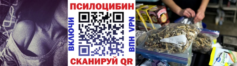 Галлюциногенные грибы Psilocybine cubensis  как найти наркотики  Вилюйск 